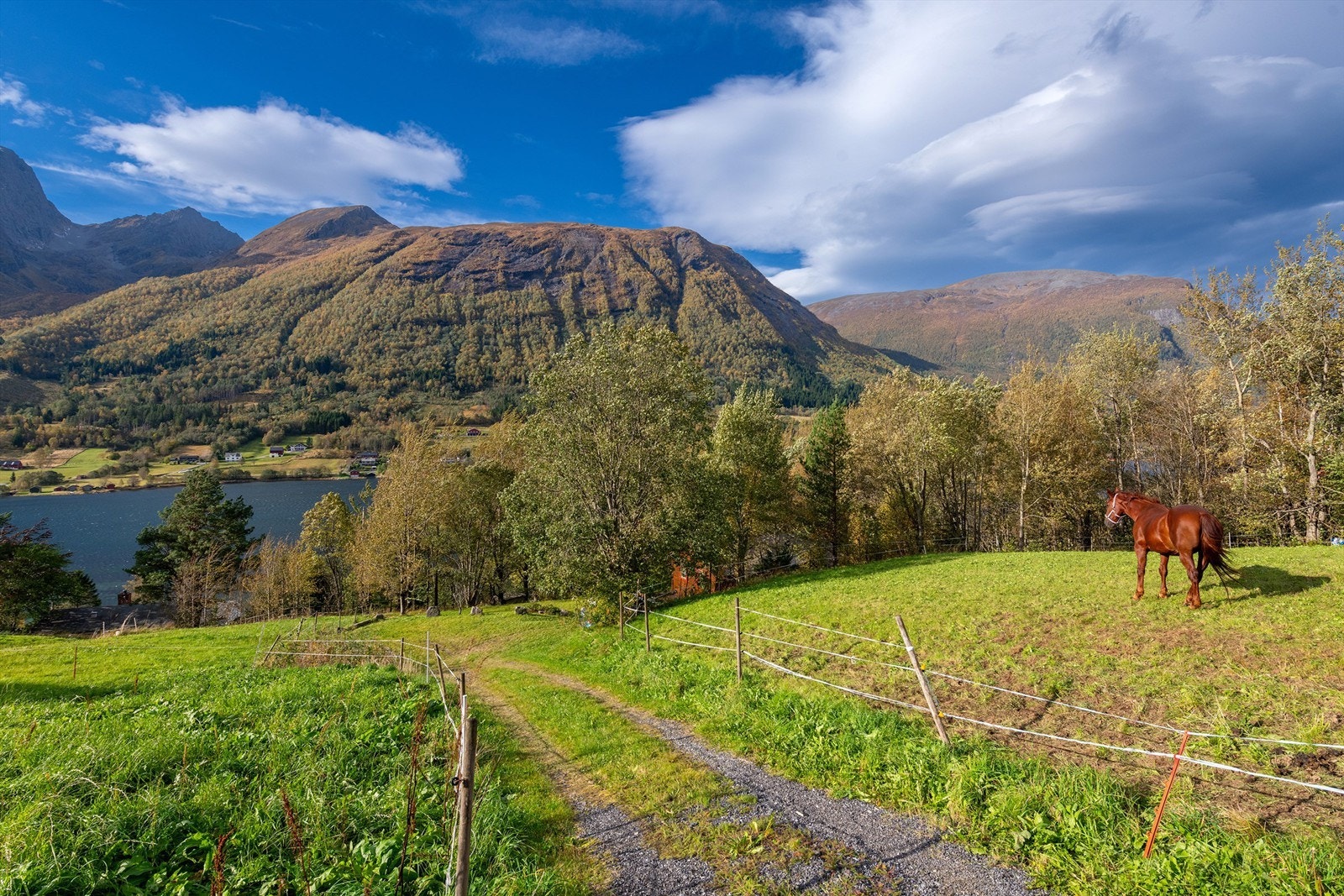 Adkomstvei til hytten Galleribilde