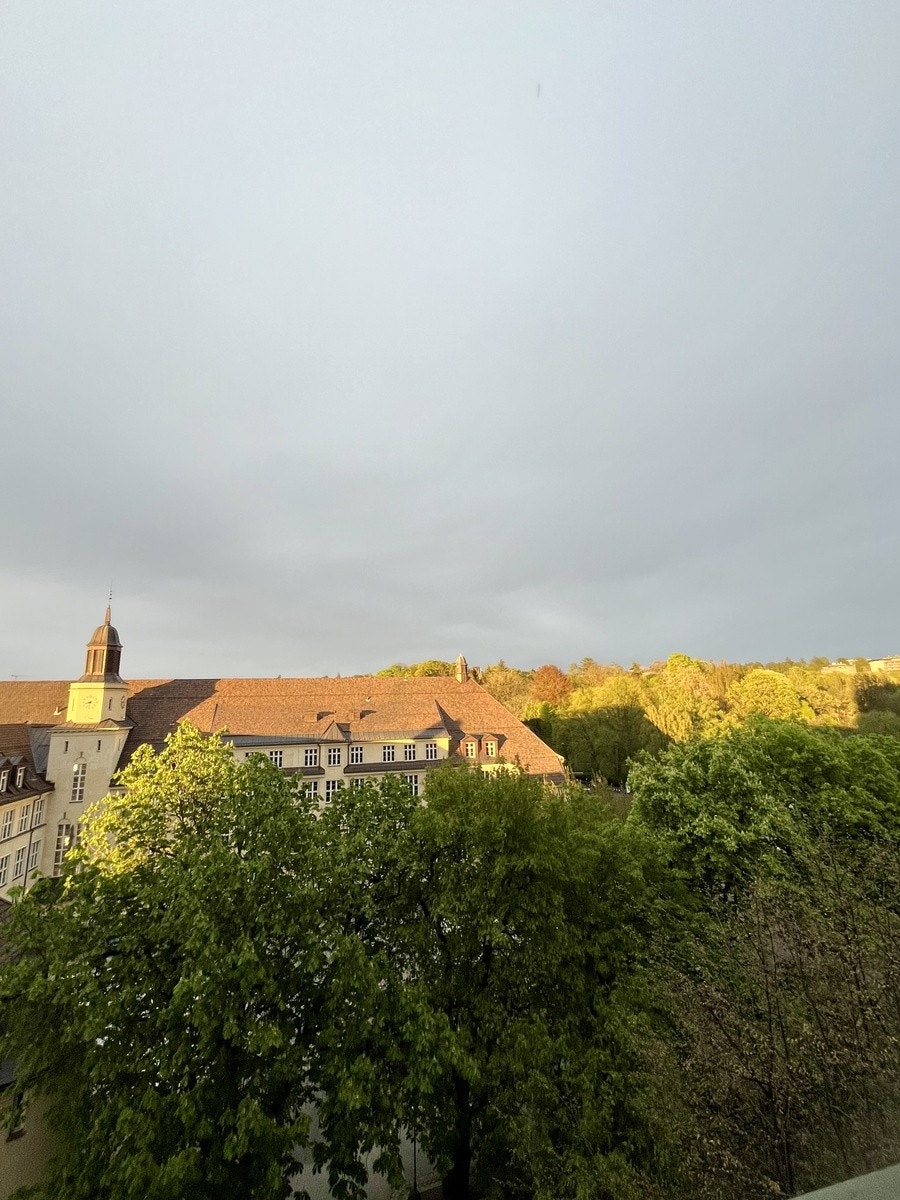 Utsikt over botanisk hage fra stue Galleribilde