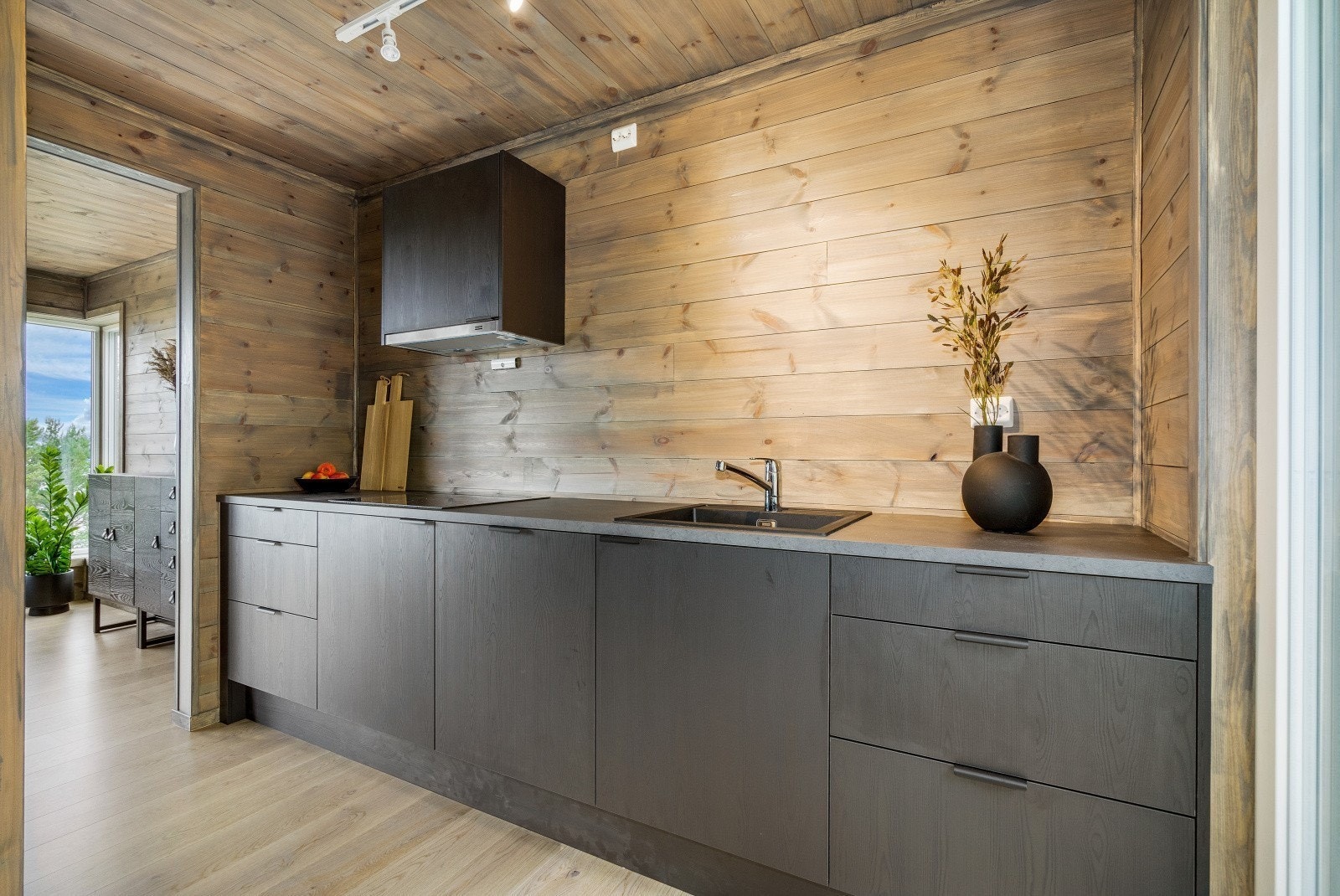 Innredning med nedfelt vask og induksjonstopp. Mekanisk avtrekk over kokesonen. Galleribilde