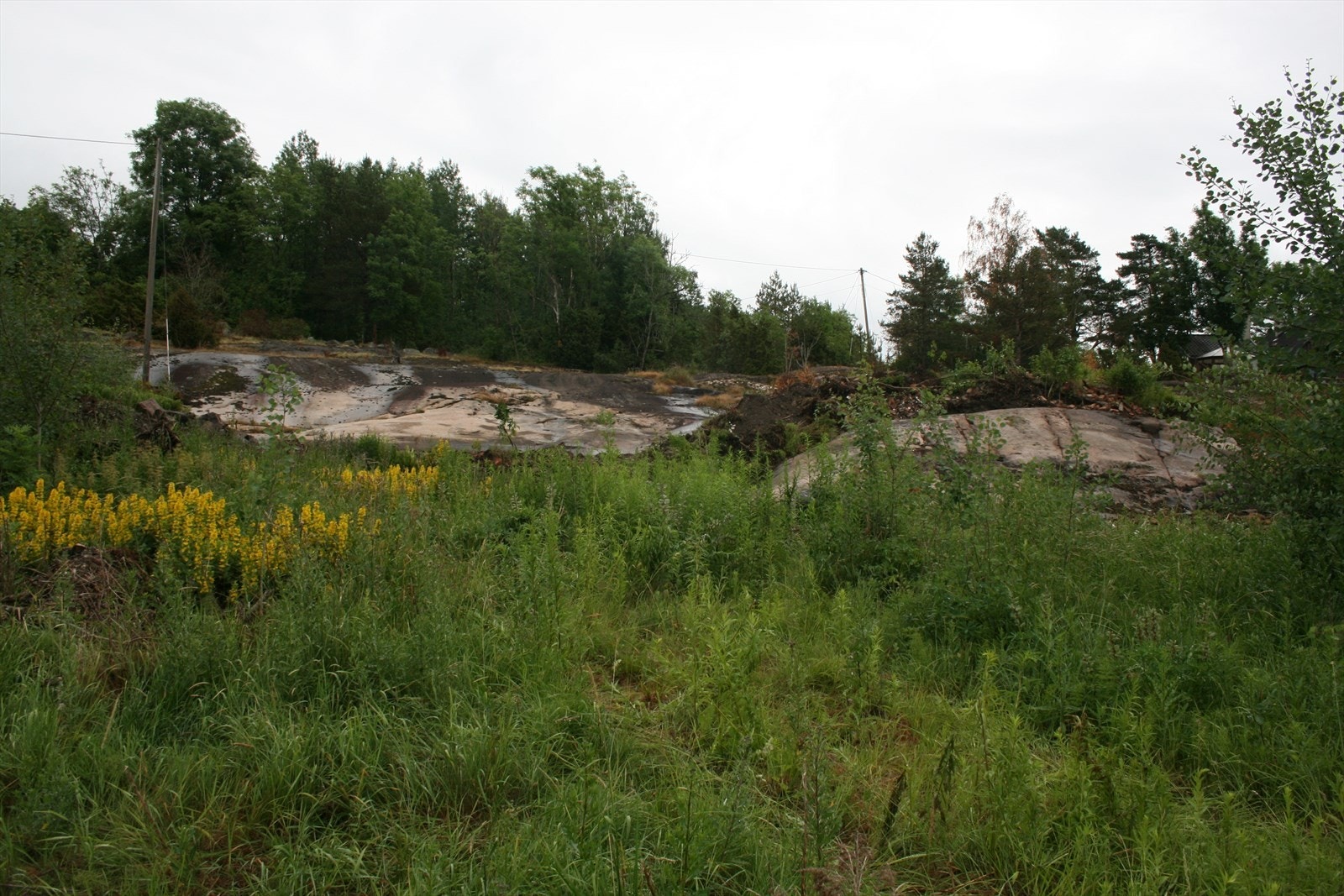 Velkommen til Moltebergveien 82! Galleribilde