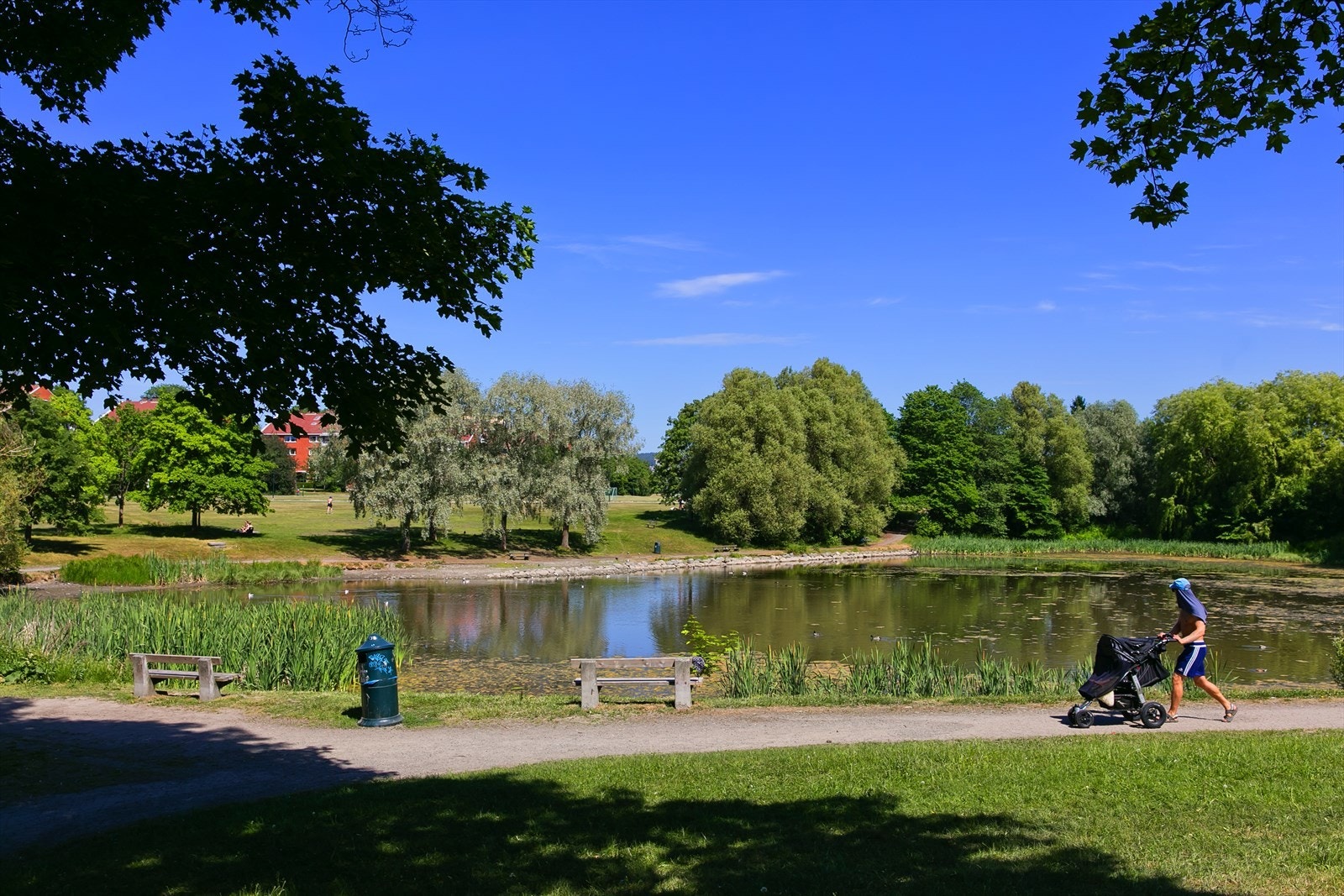 Områdebilde. Galleribilde