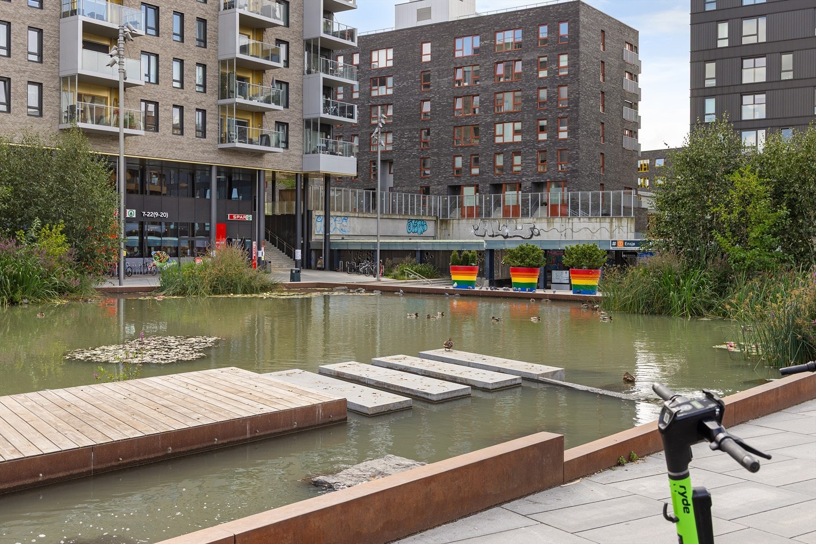 Områdebilde. Galleribilde