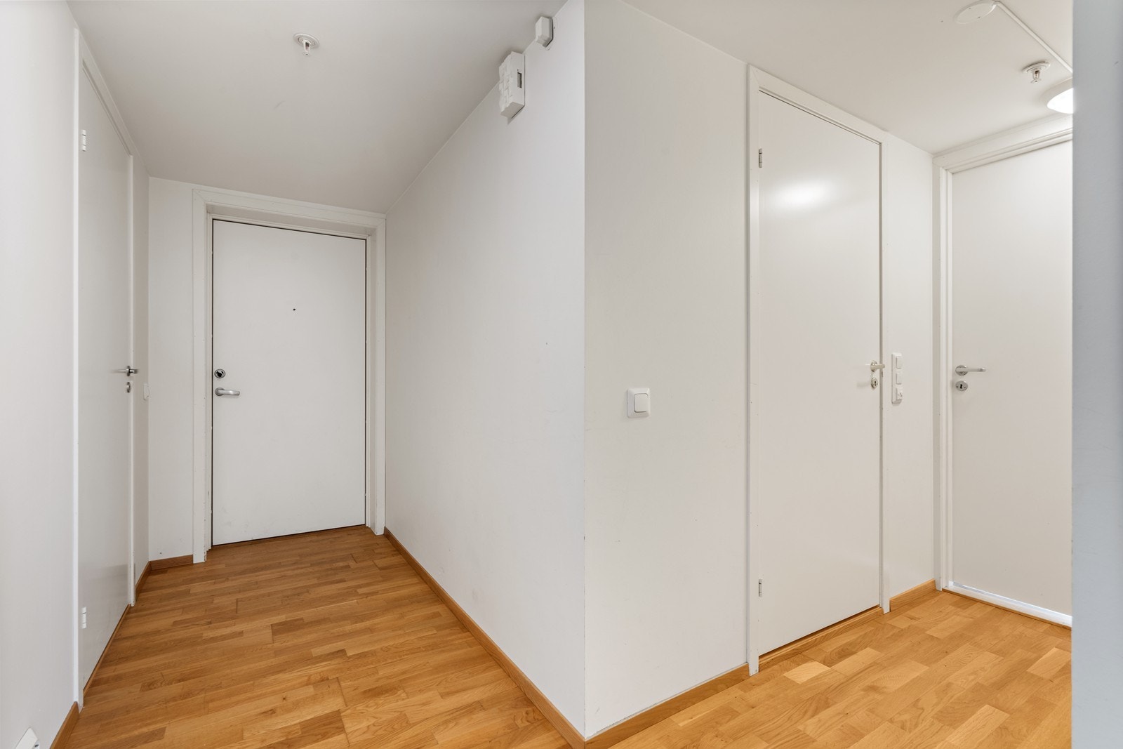 TIM01692 Galleribilde