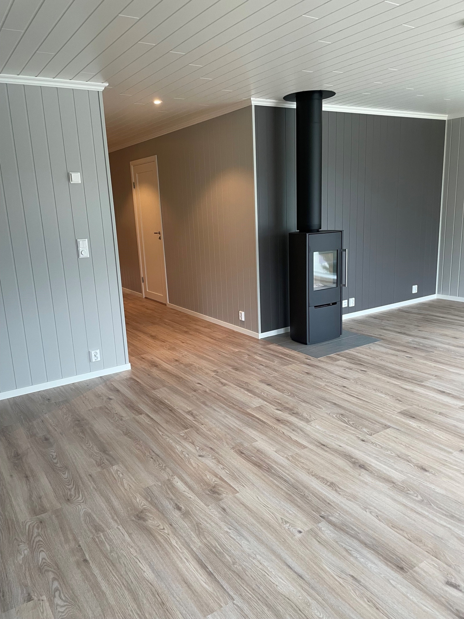 Peisovn med stålpipe og glassdør Galleribilde