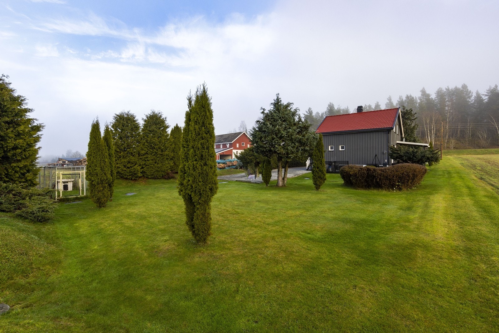 Opparbeidet tomt med gruset innkjørsel og gressplen med beplantning. Galleribilde
