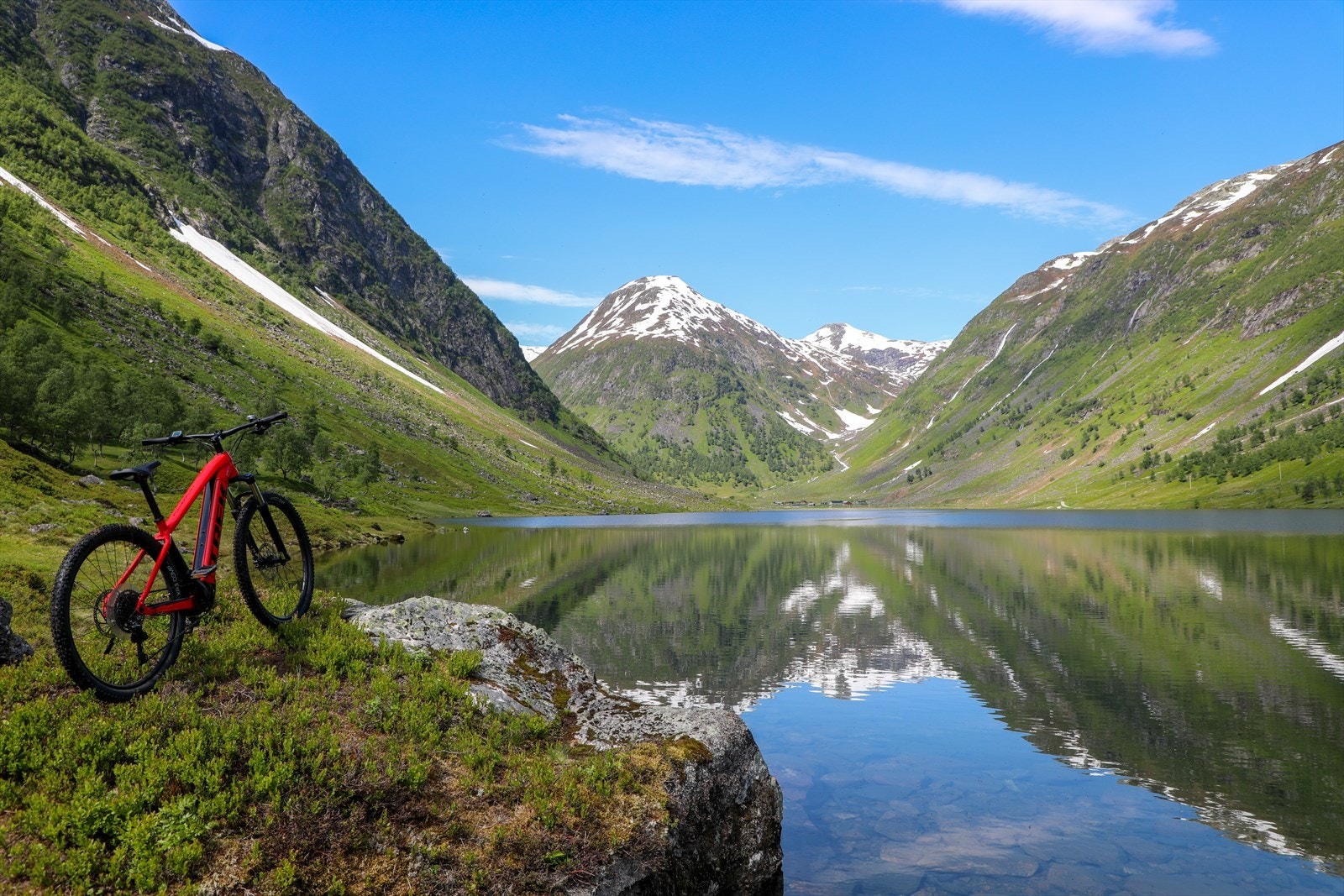 Nærområde Galleribilde