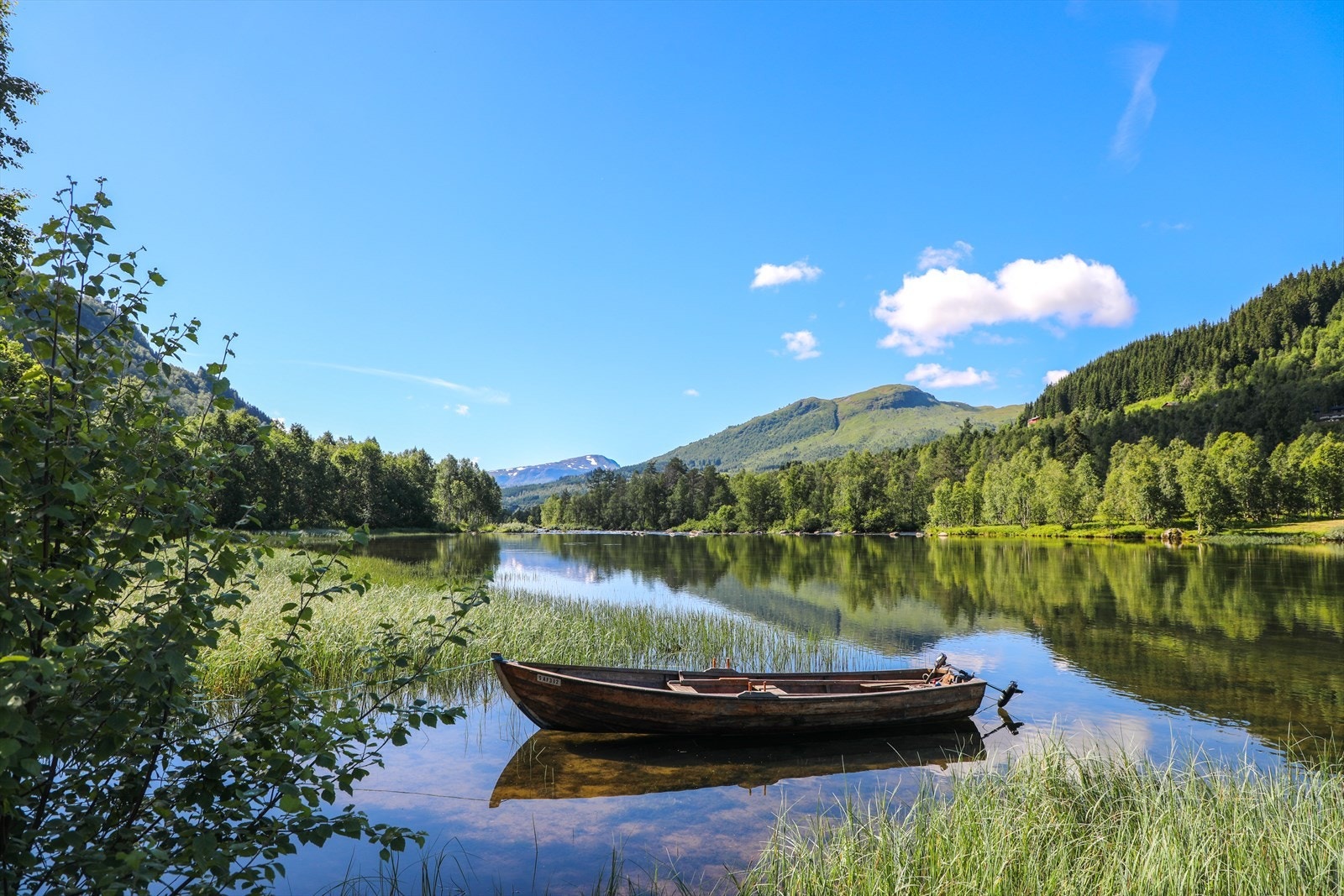 Nærområde Galleribilde