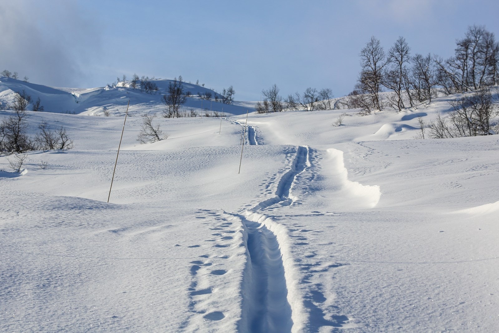 Sogndalsdalen har snøsikre vintre med gode snøforhold og is på Dalavatnet.(Privat foto) Galleribilde