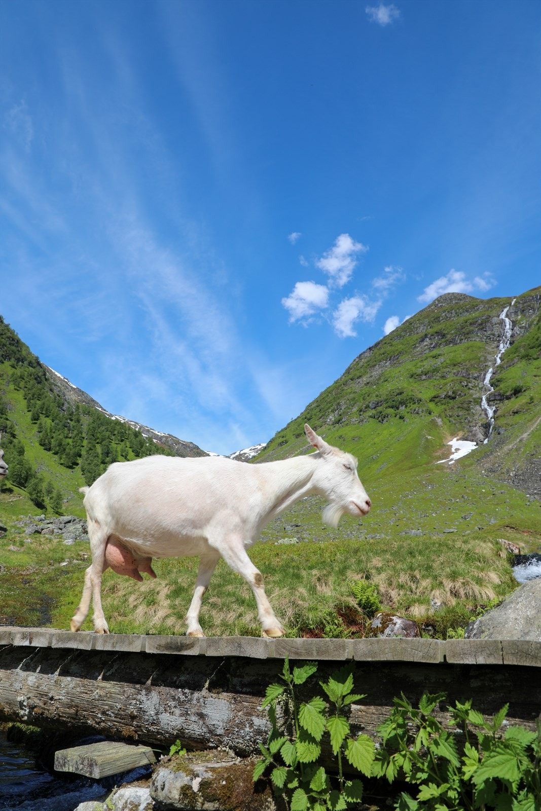 Nærområde Galleribilde