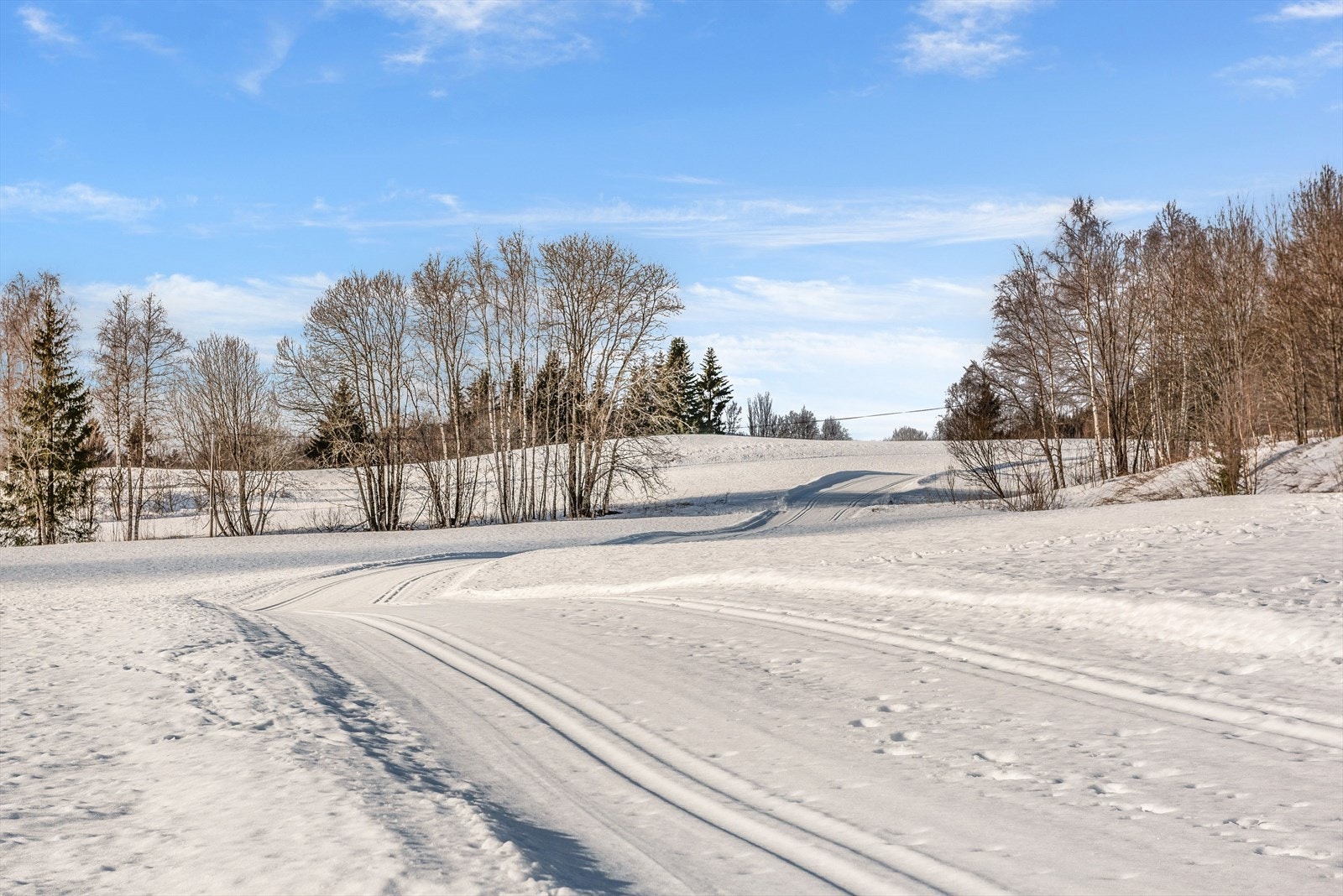 Skiløyper i nærmiljøet. Galleribilde