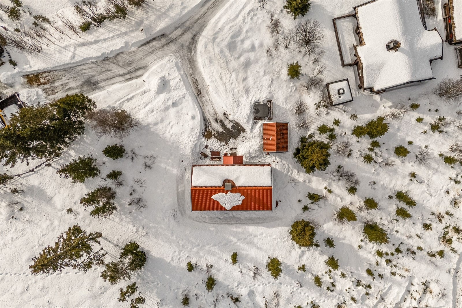 Bilvei frem til hytteveggen. Galleribilde