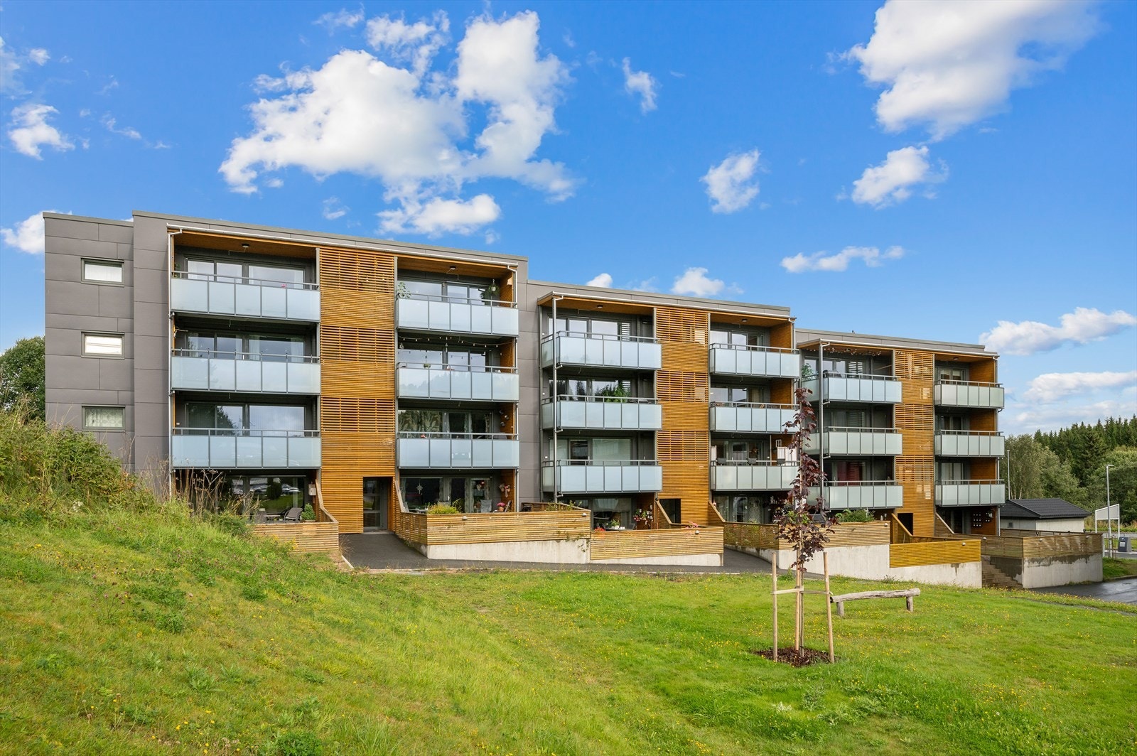 Velkommen til en hyggelig visning! Galleribilde