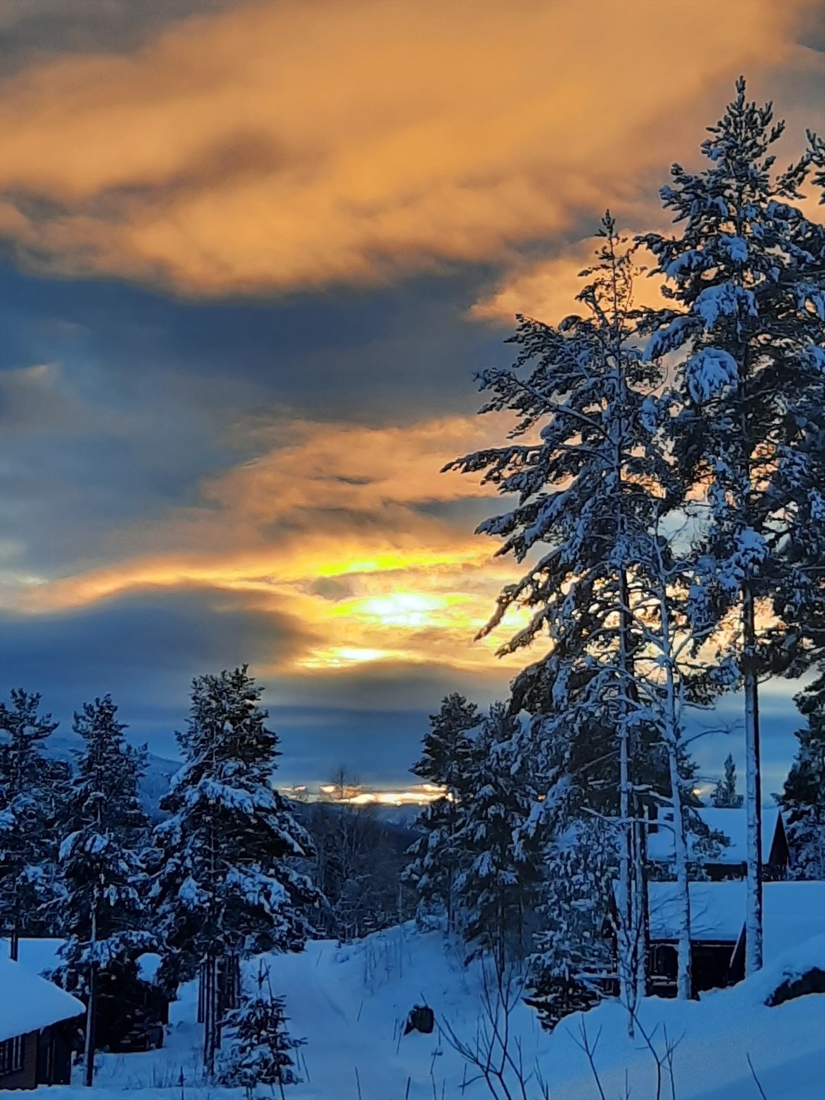 Selgers eget bilde. Galleribilde