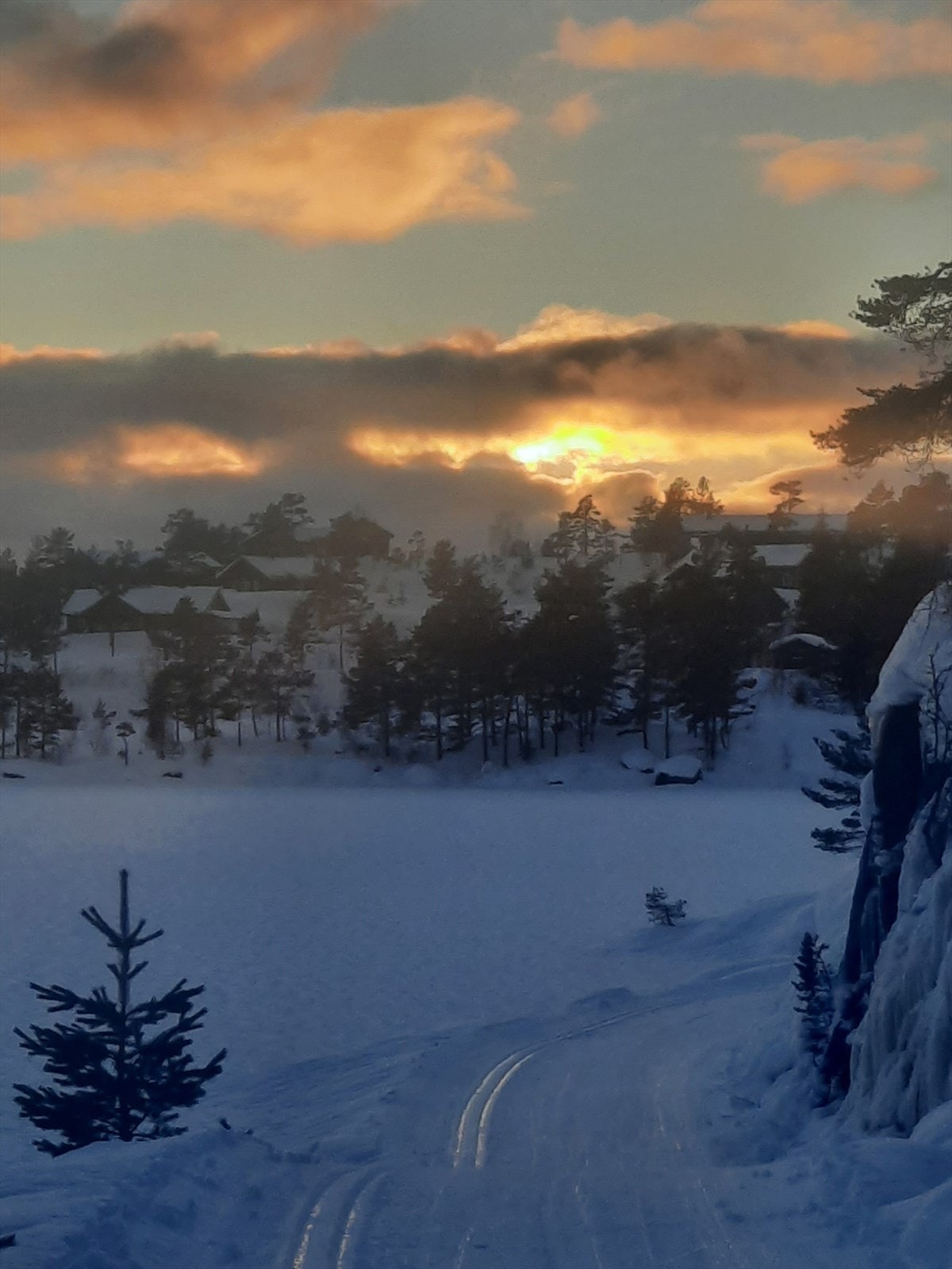 Selgers eget bilde. Galleribilde