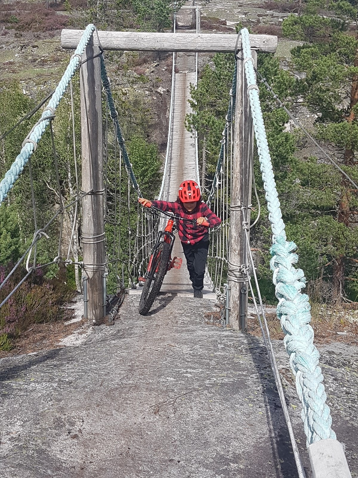 Selgers eget bilde. Galleribilde