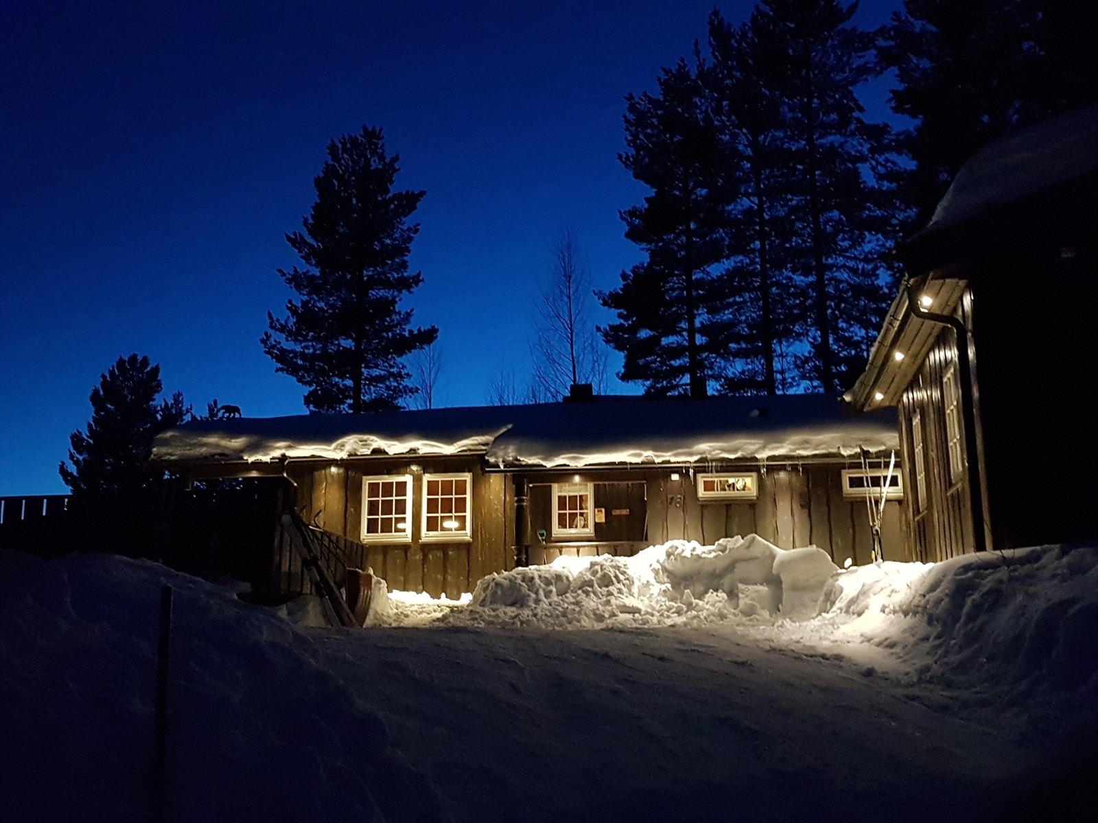 Selgers eget bilde. Galleribilde