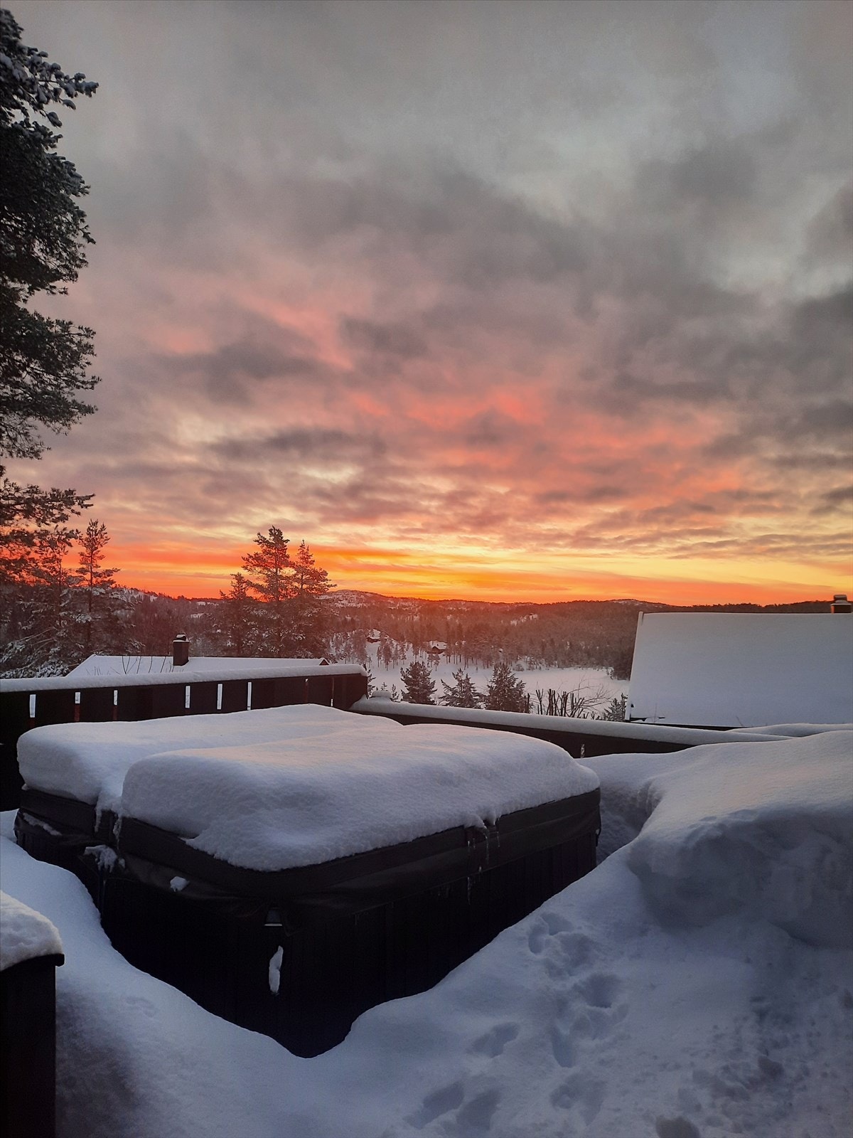 Selgers eget bilde. Galleribilde