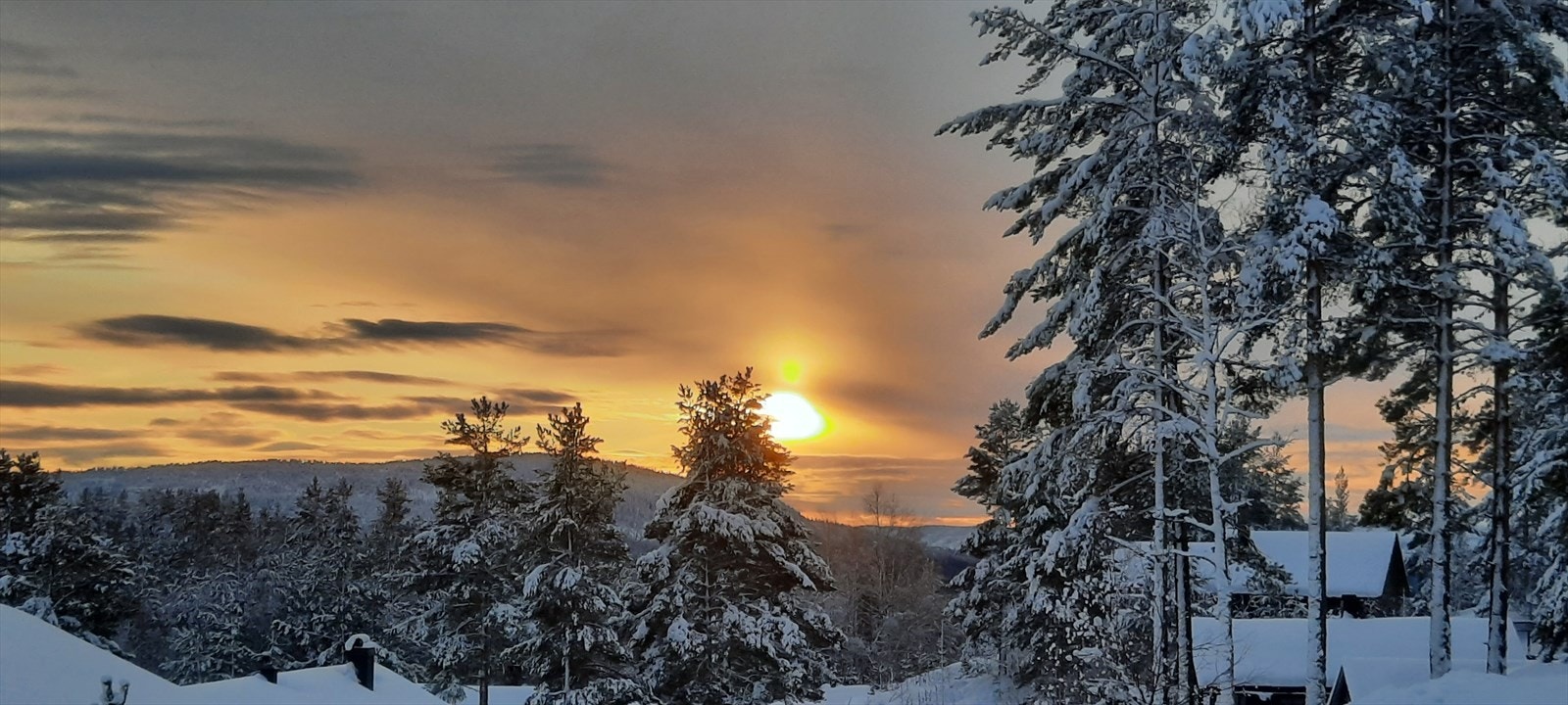 Selgers eget bilde. Galleribilde