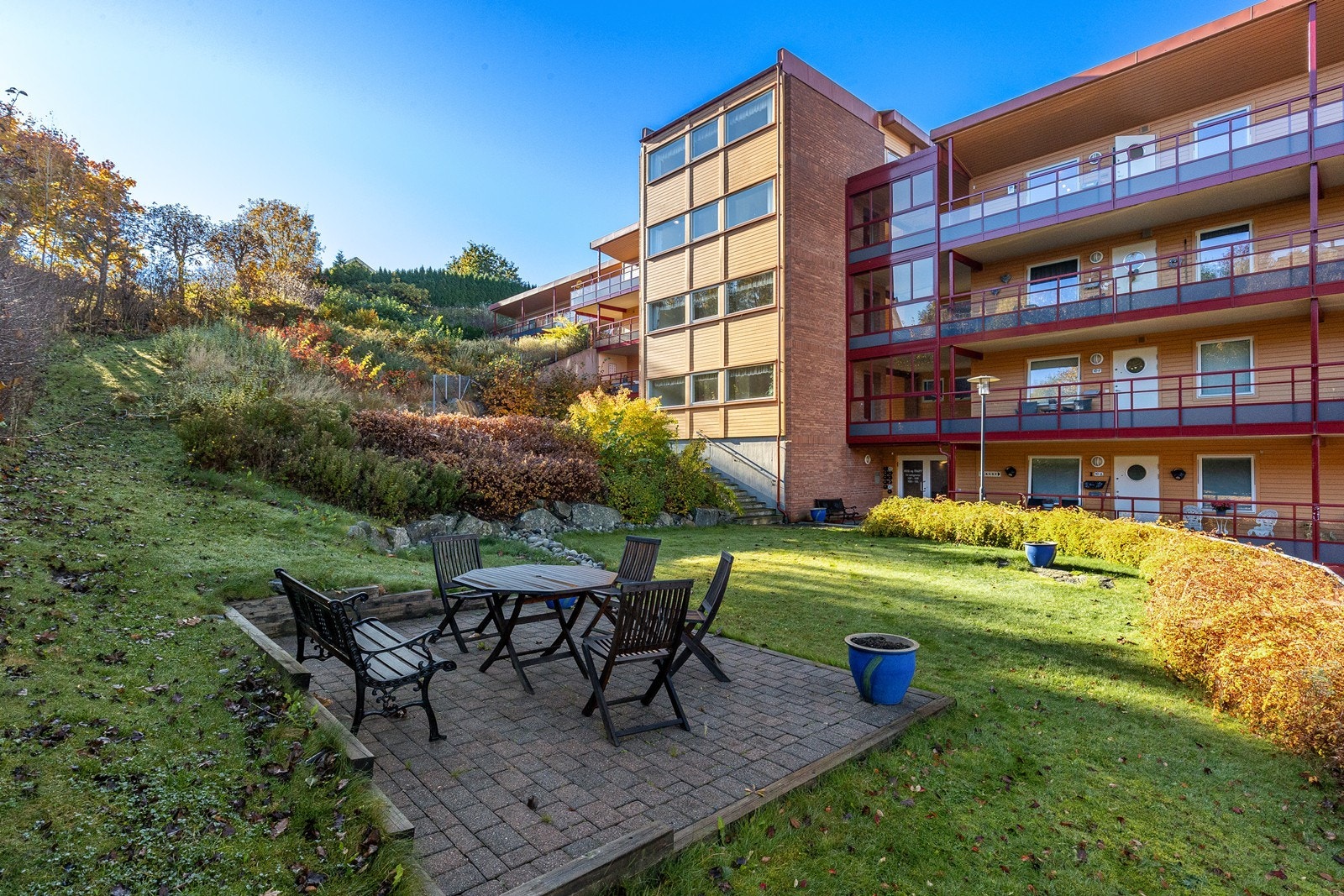 Felles hage Galleribilde