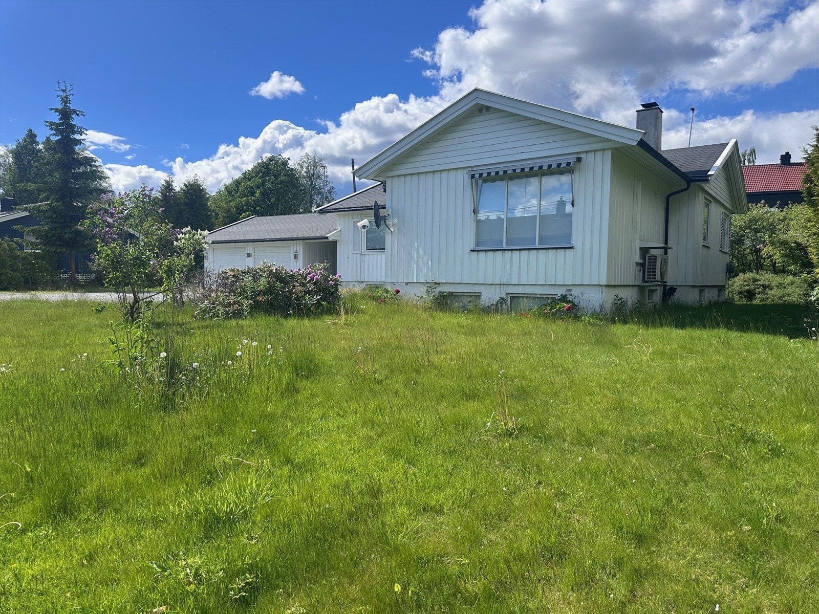 Hage med bla. syrin, blomsterbusker og plen. Galleribilde