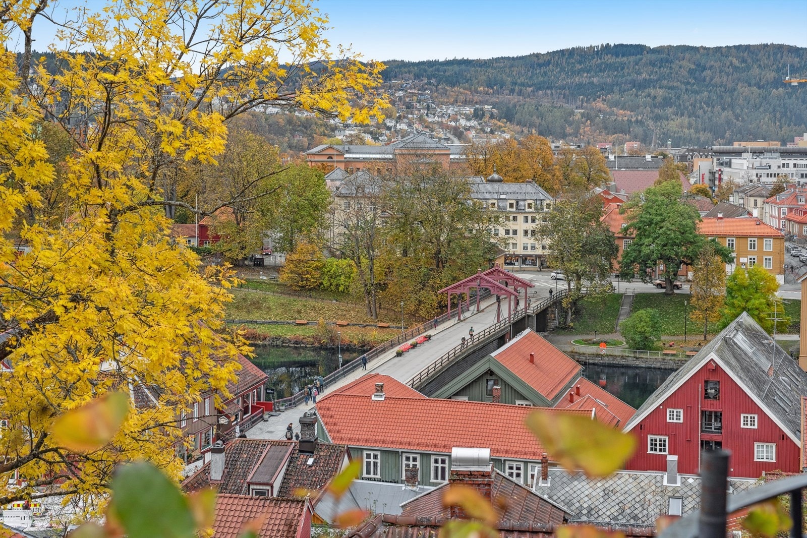 Utsikt. Galleribilde