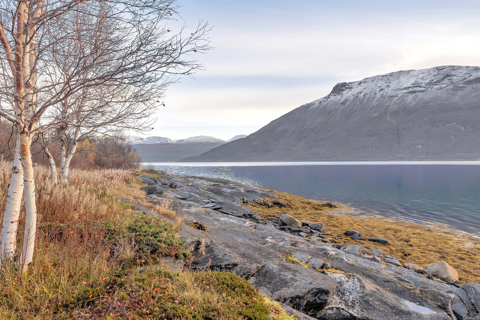 Mot Falsnes/Skibotn Galleribilde