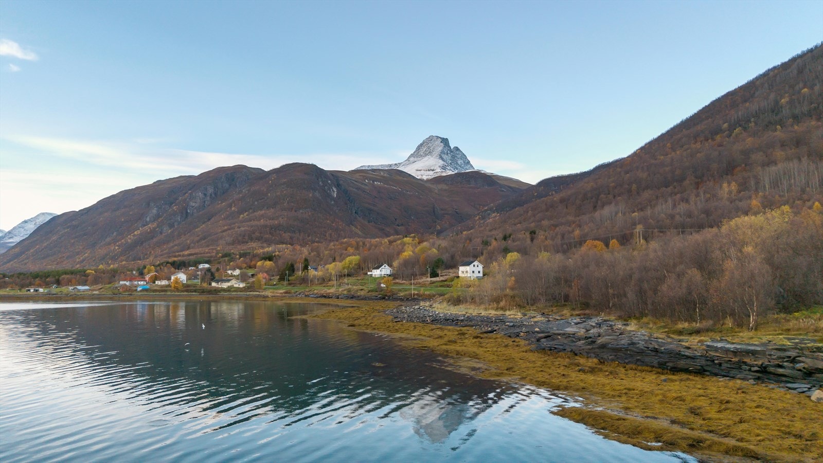 Steindalstinden i bakgrunnen Galleribilde