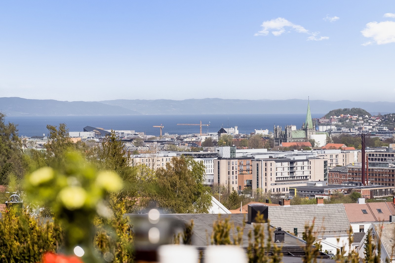 Utsikt. Galleribilde