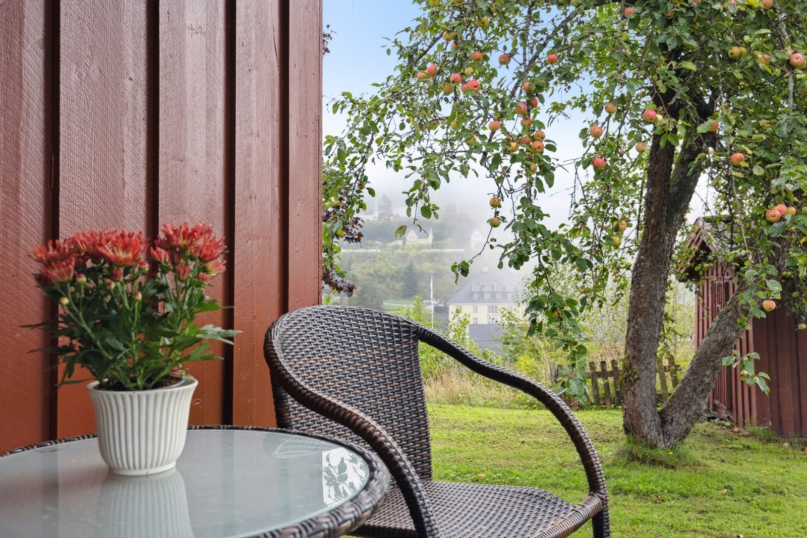 Her finner du tre store og friske epletrær som gir både karakter og mulighet for egen frukthøst. Galleribilde