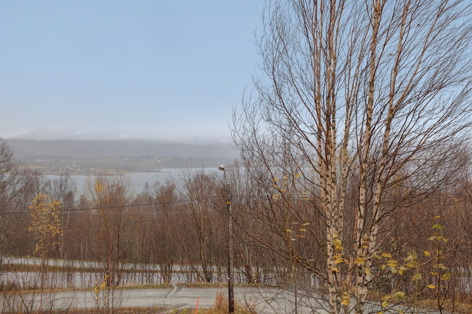 Utsikt mot Nordbynes Galleribilde