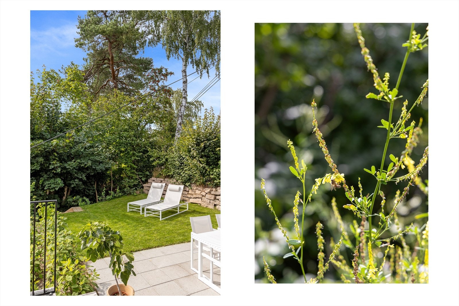 Fin gressplen med trapp ned til nedre del av hagen Galleribilde