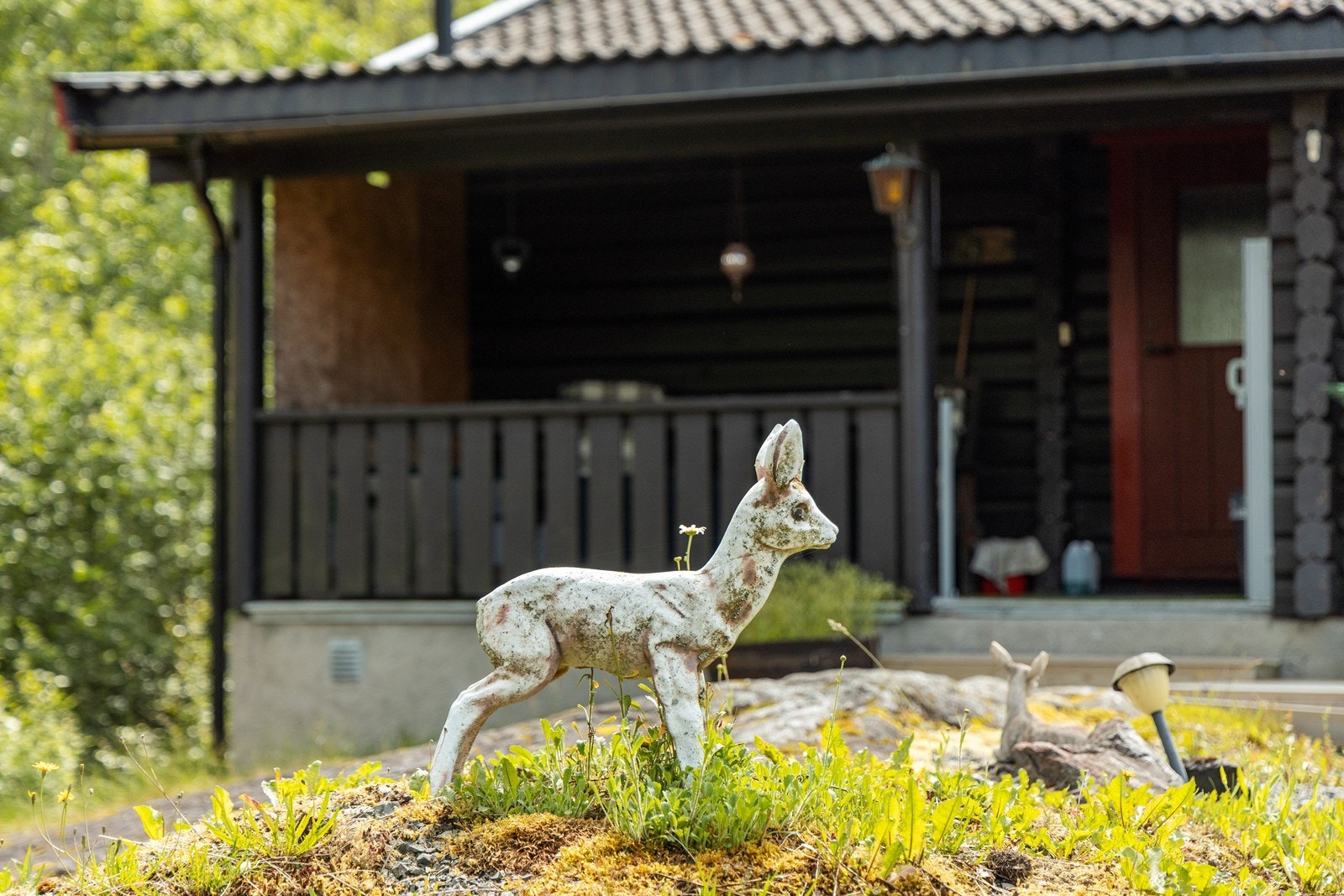 Velkommen inn i hytta! Galleribilde