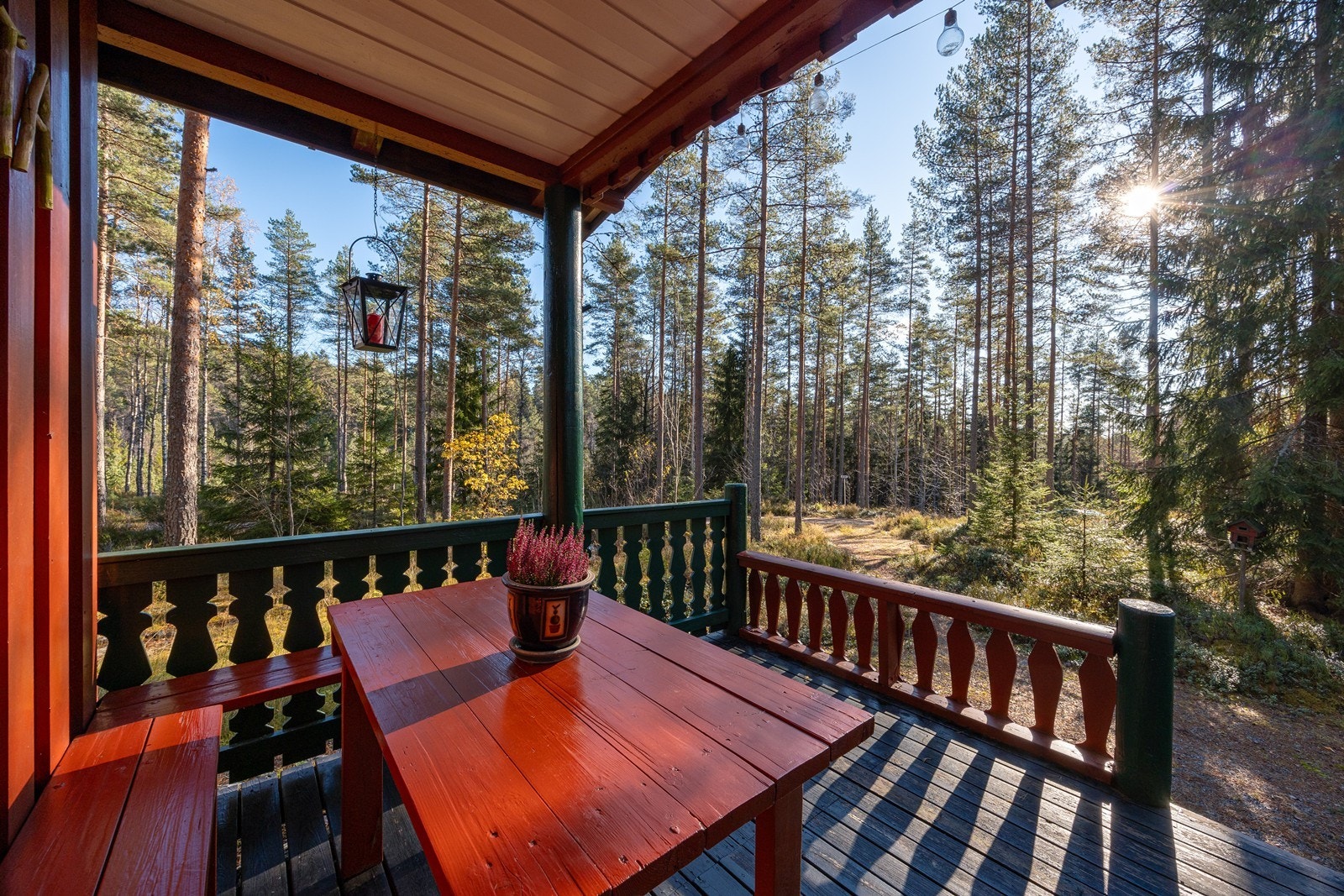 Naturtomten består av fjellknauser, skog og lyng, og rundt hytta er det lune, nydelige uteområder. Galleribilde