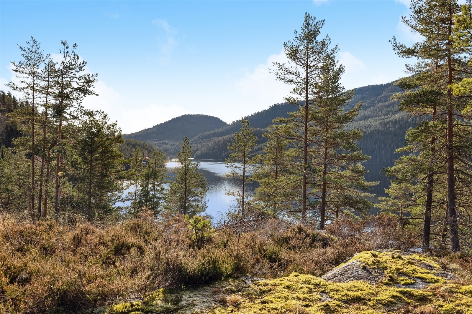 Vakre Reskjemvatnet ligger rett nedenfor hytta. Galleribilde