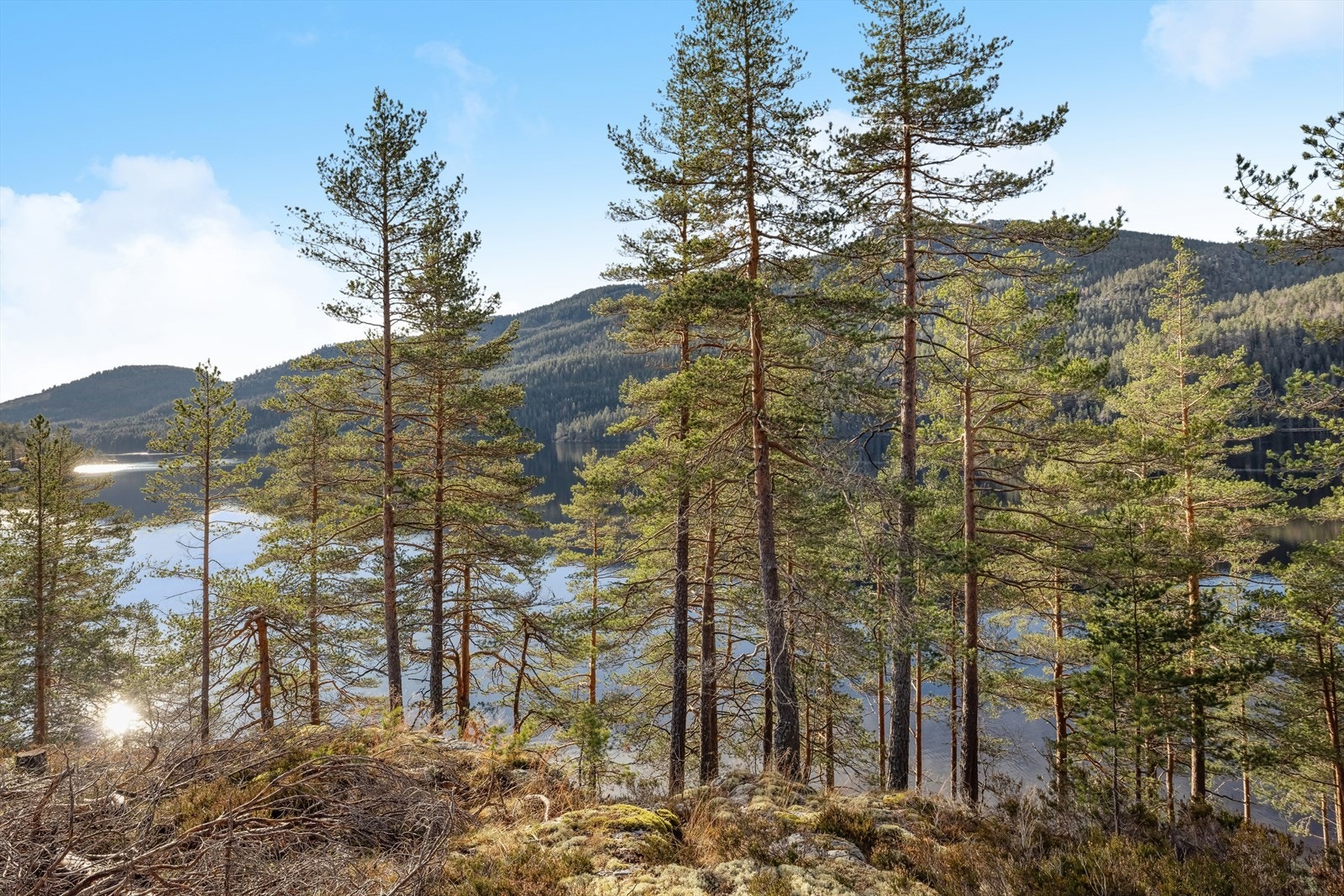 Her kan både store og små prøve fiskelykken. Galleribilde