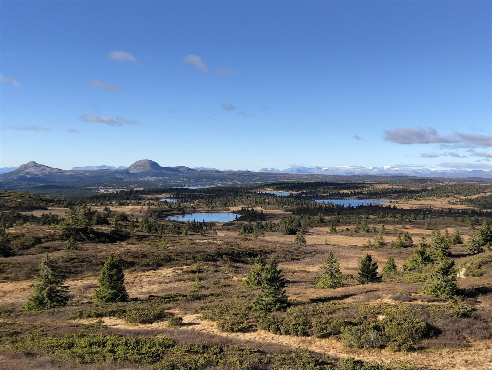 Et elderado av turmuligheter i nærområdet. Meglers private bilde. Galleribilde