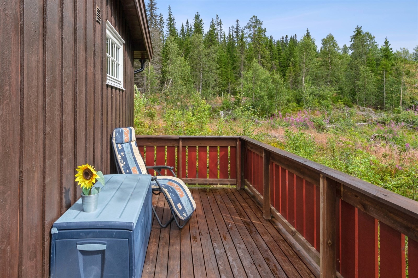 Nyte solrike dager og frisk luft. Galleribilde