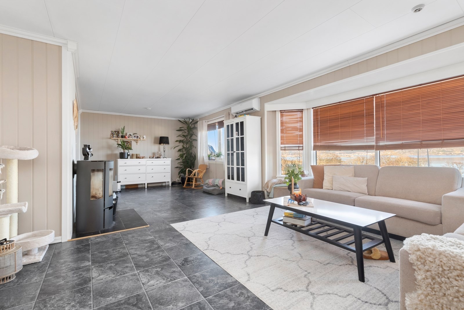 Stue med både peis og varmepumpe Galleribilde