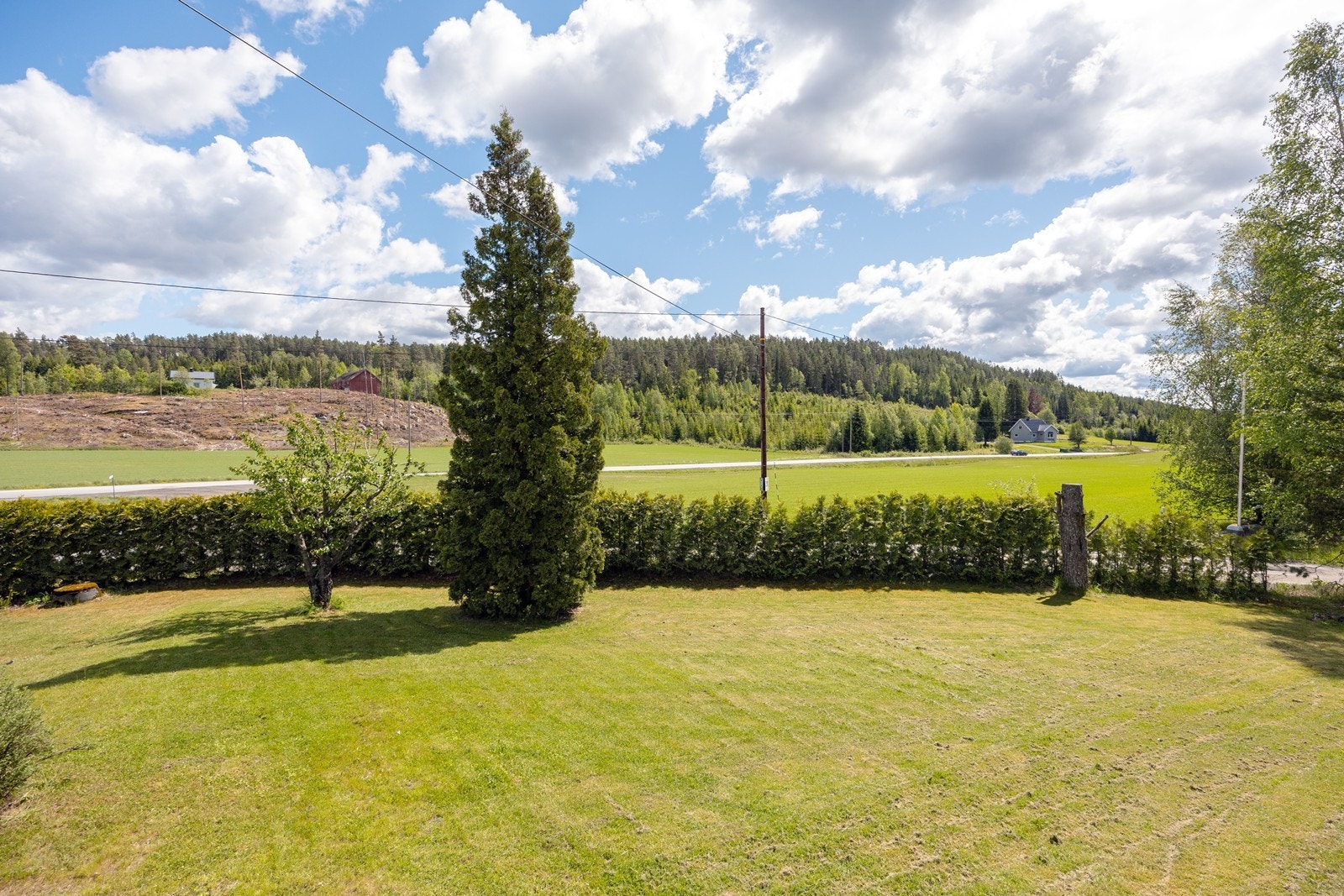 Utsikt og fin hage med plen og beplantning. Galleribilde