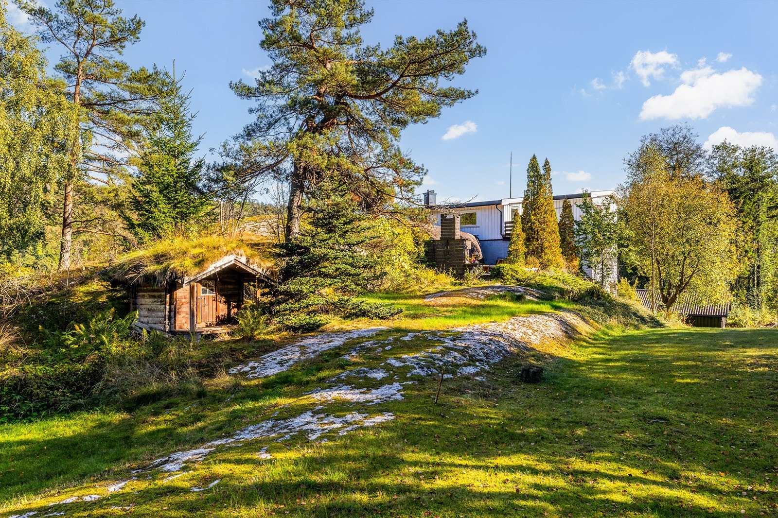 Store deler av eiendommen er naturtomt. Det søte lille dukkehuset går nesten i ett med naturen. Galleribilde