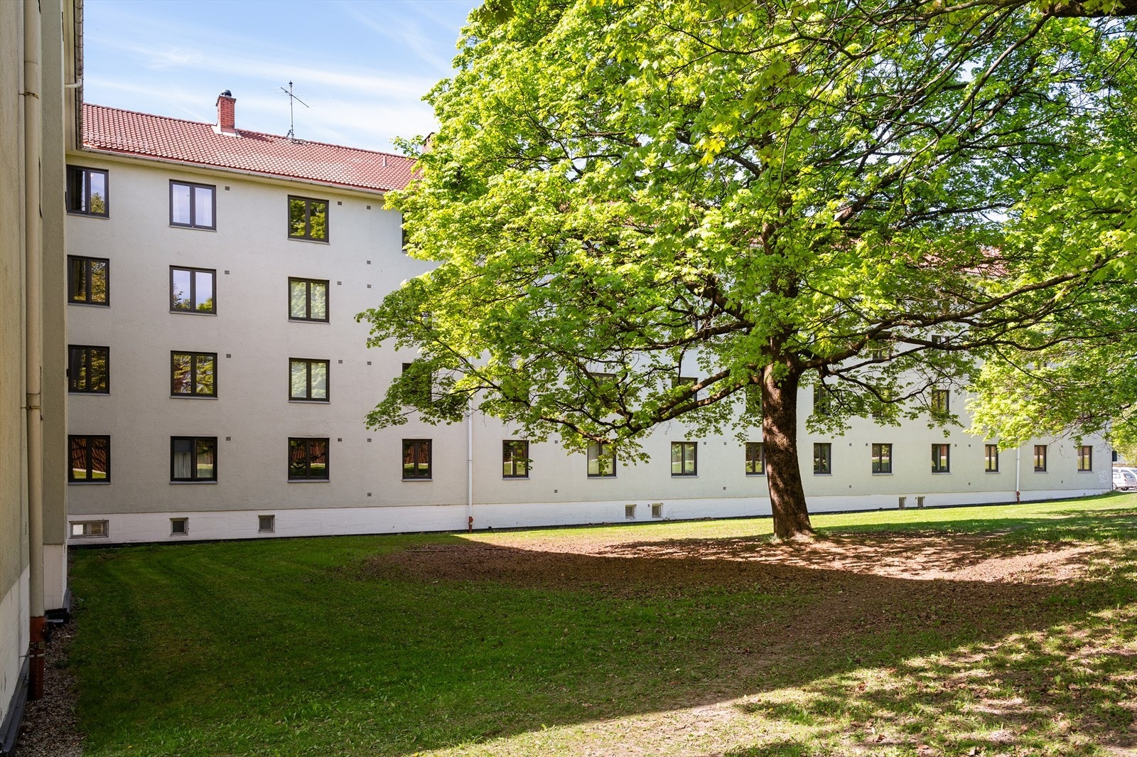 Store, felles grøntområder. Galleribilde