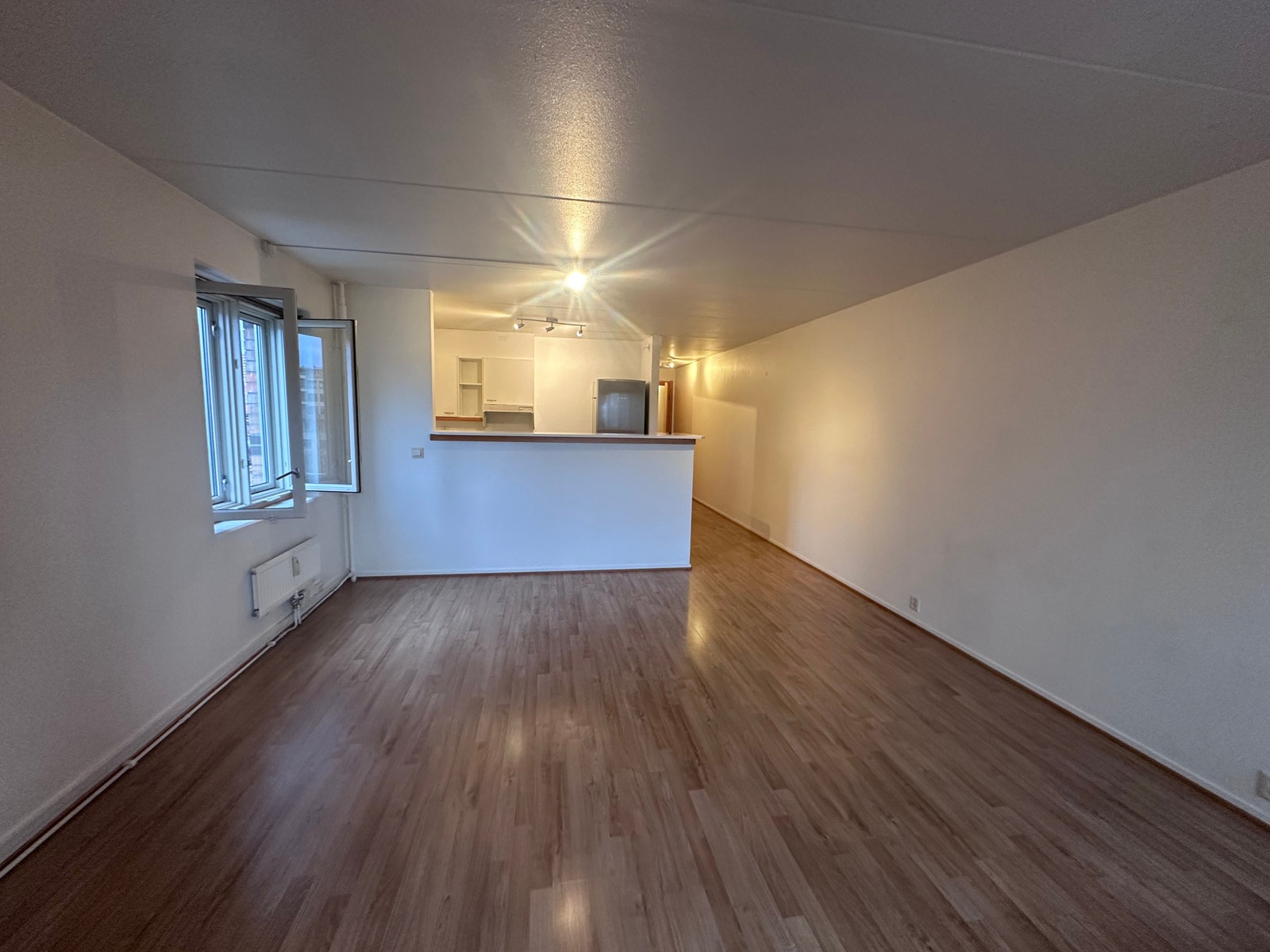 Stor og romslig stue med kjøkkenløsning Galleribilde