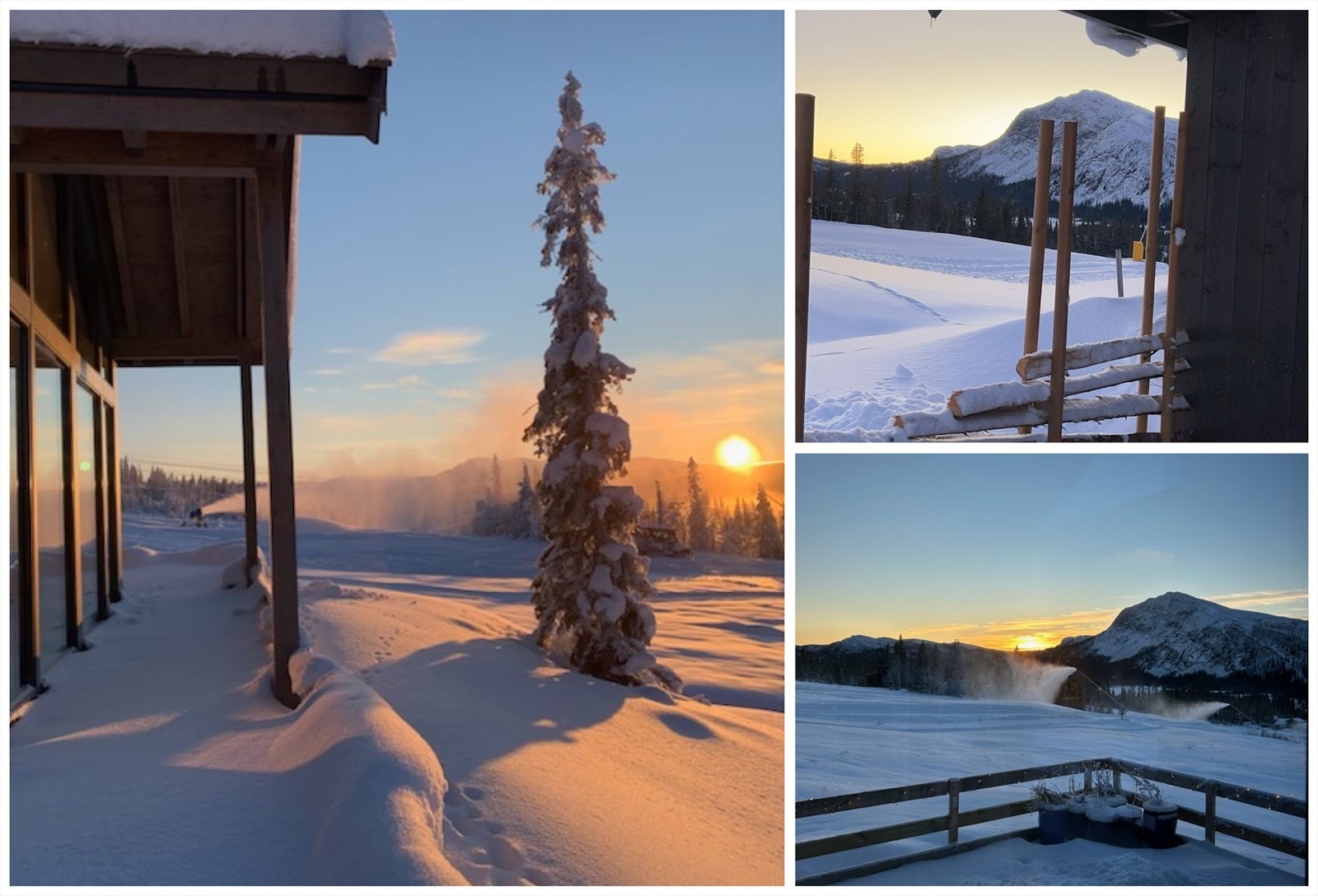 Bilder fra selger - solgry Galleribilde