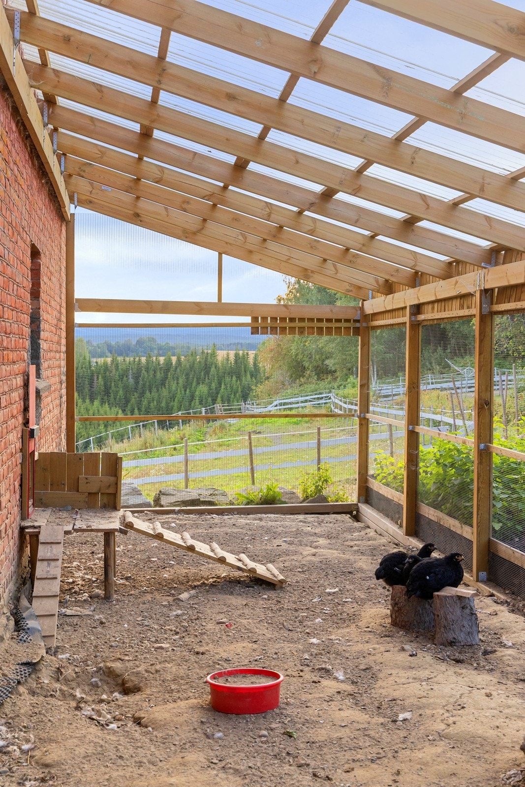 Gårdsidyll med egne høner som rusler rundt! Galleribilde