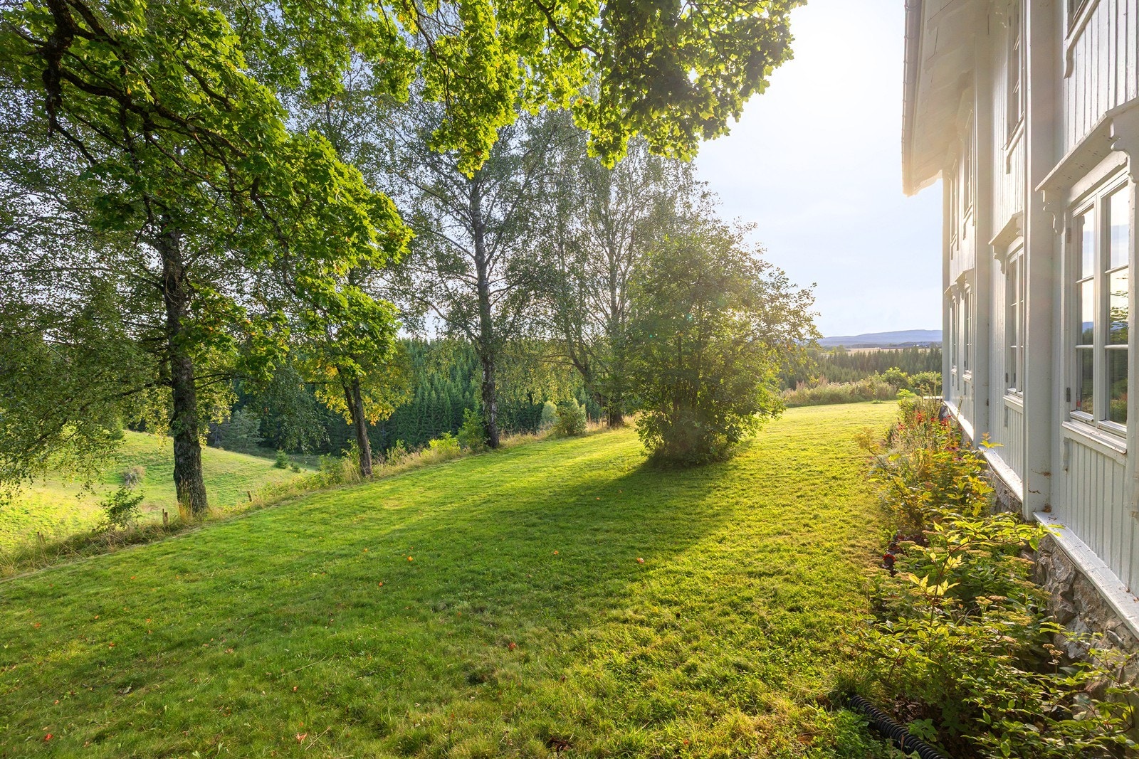 Hage på baksiden av hovedhuset. Galleribilde