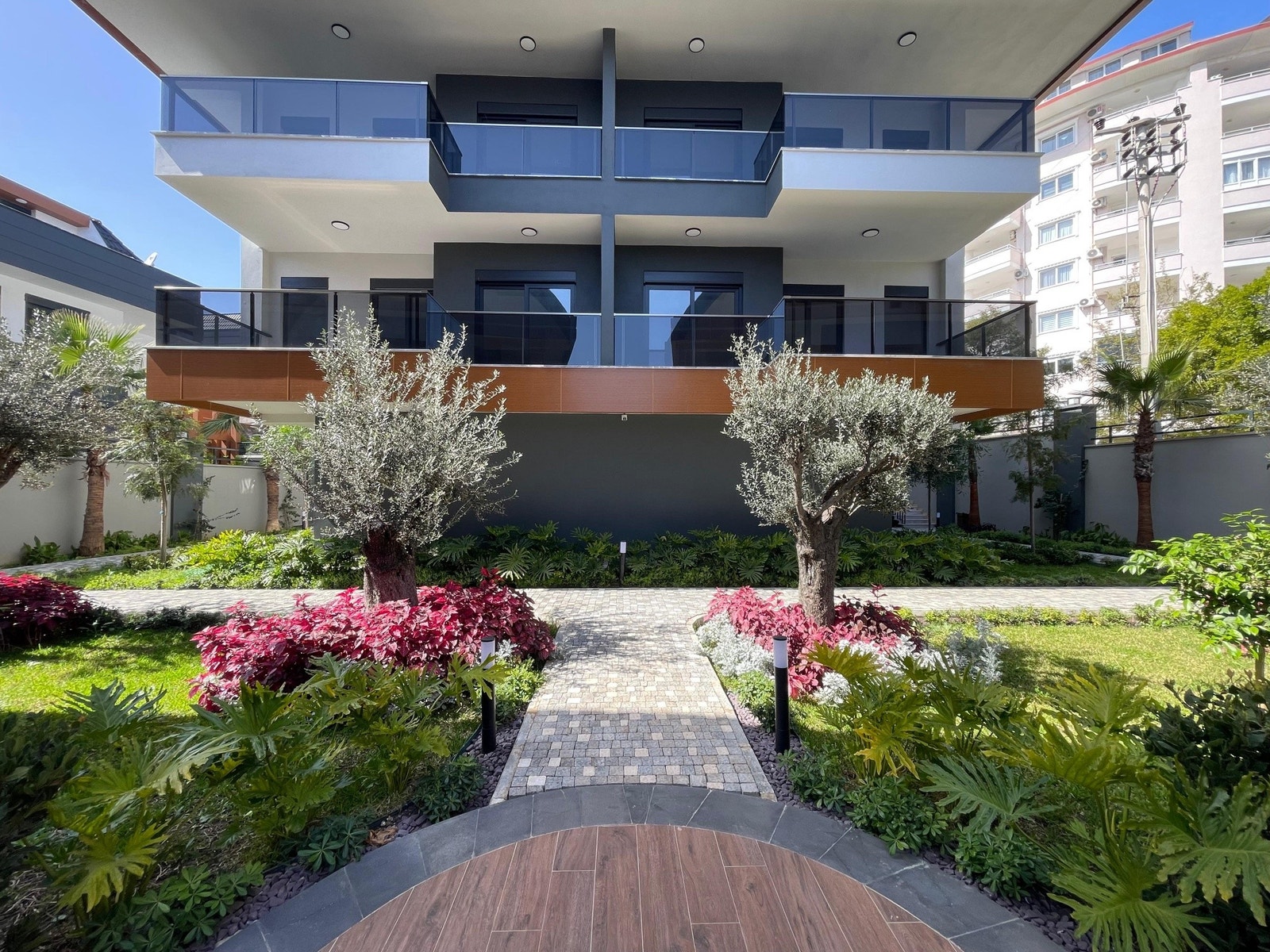 Garden with olive trees Galleribilde