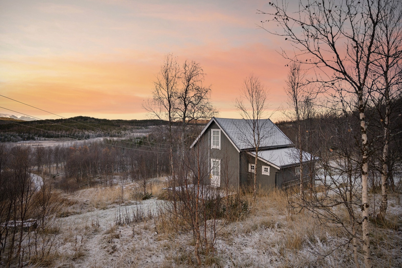 Velkommen til en trivelig visning! Galleribilde