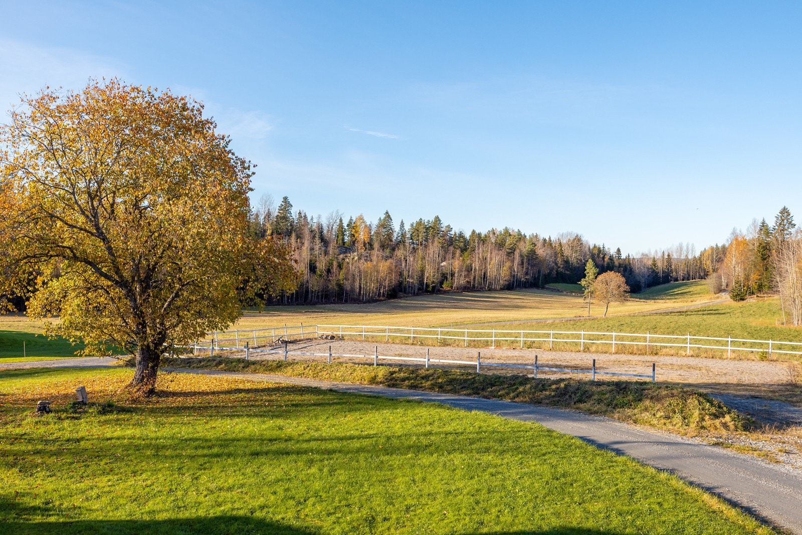 Eiendommen er dermed godt egnet for hestehold og har beitemark rundt tunet. Galleribilde