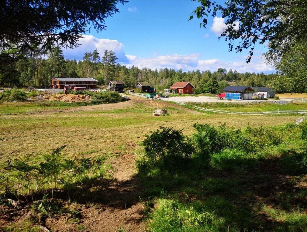 Eiendommen ligger idyllisk til med skogen tett på. Galleribilde