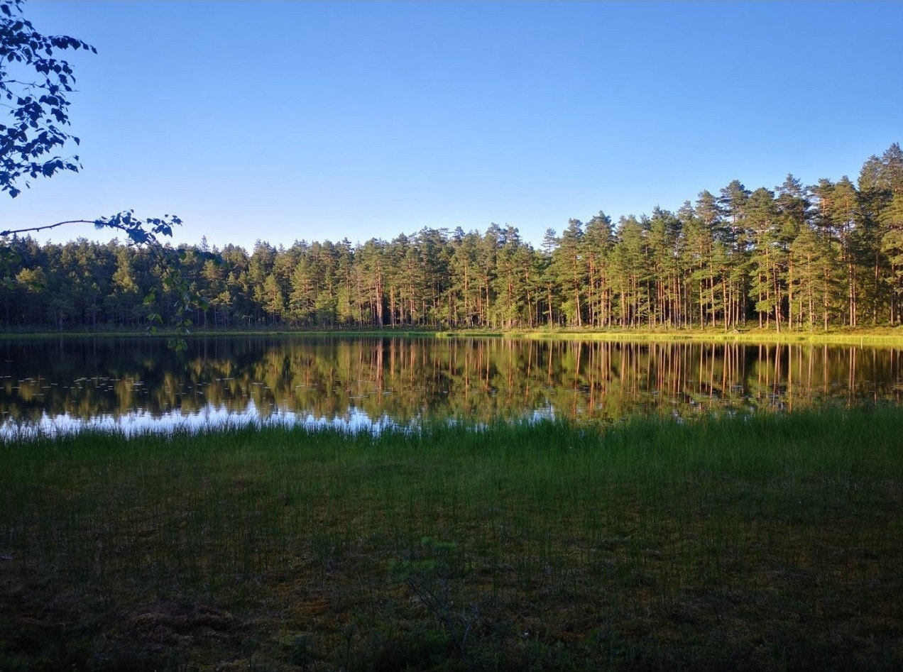 I nærområdet er det turmuligheter i skog og mark, og med små tjern og vann. Galleribilde